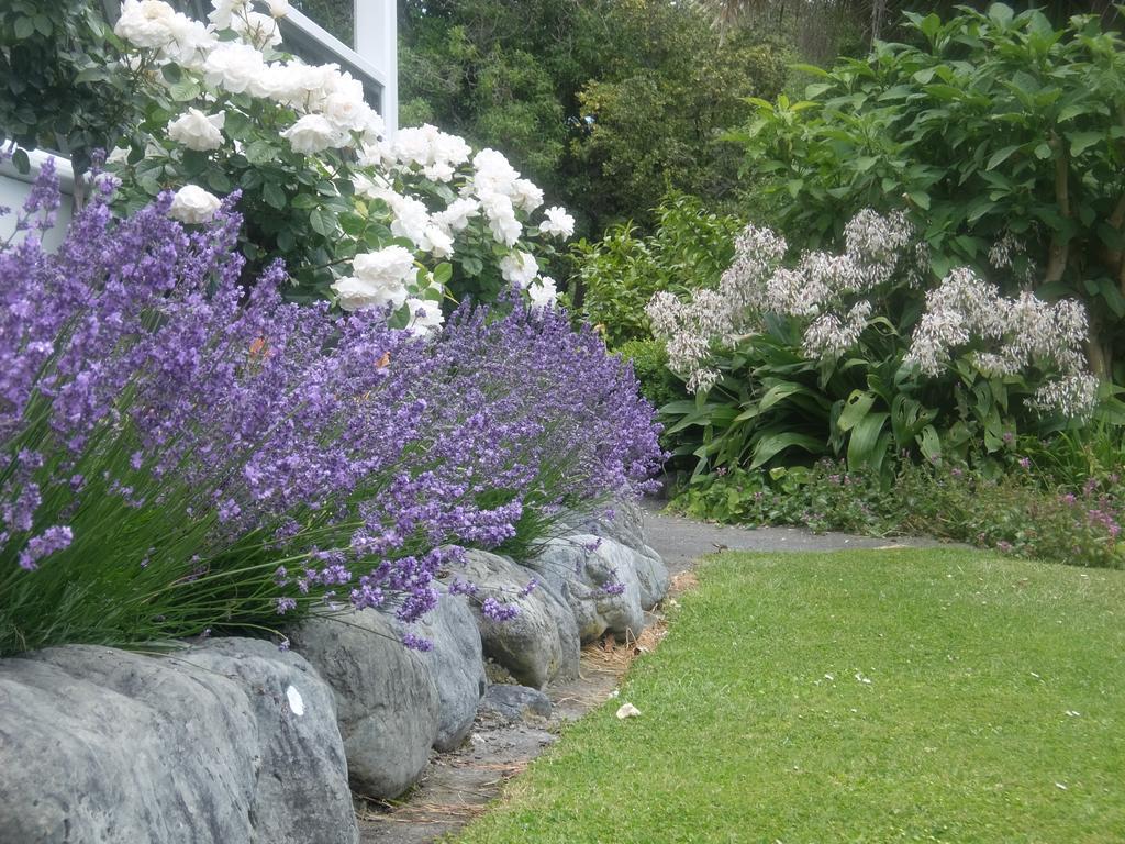 The Point B&B Kaikoura Buitenkant foto